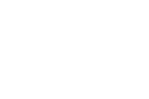 SNPR Service